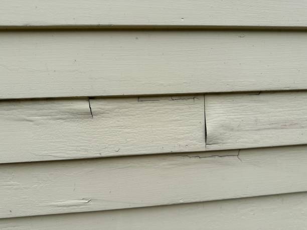 Best Engineered Wood Siding  in St Joseph, IL